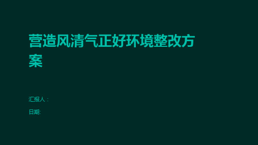 营造风清气正好环境整改方案