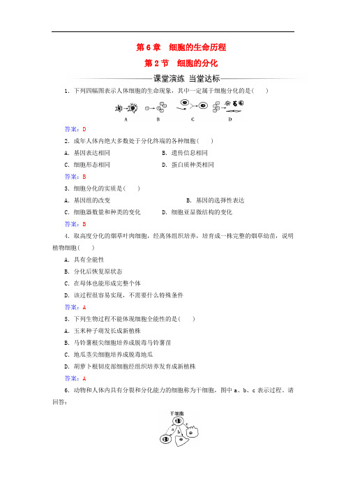 高中生物 第6章 细胞的生命历程 第2节 细胞的分化练习 新人教版必修1