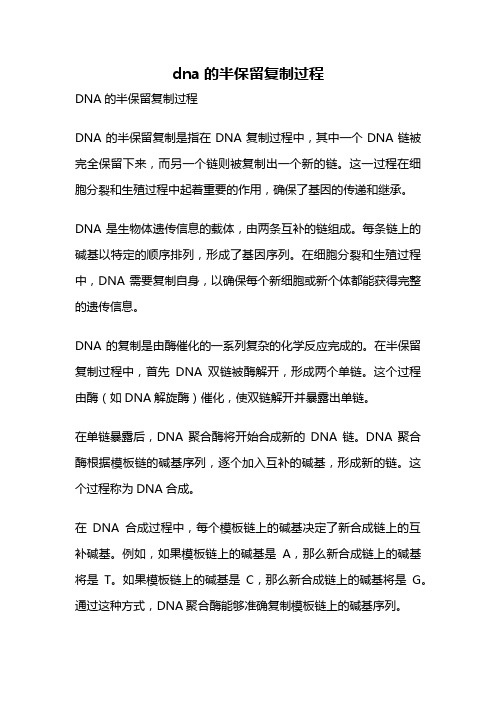 dna的半保留复制过程