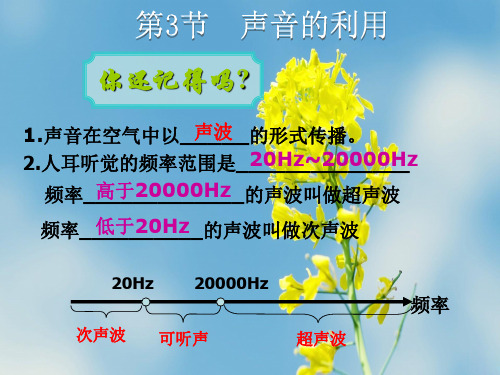 人教版2020年八年级物理上册2.3《声的利用》ppt教学课件