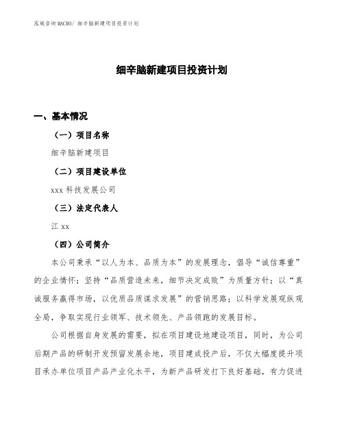 细辛脑新建项目投资计划