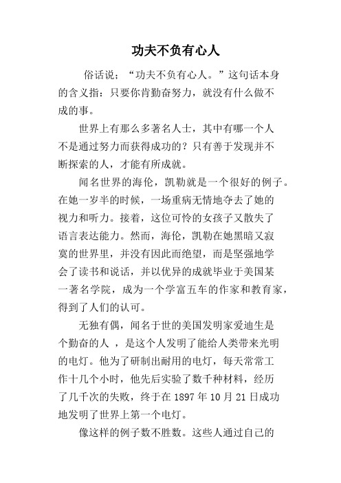 功夫不负有心人