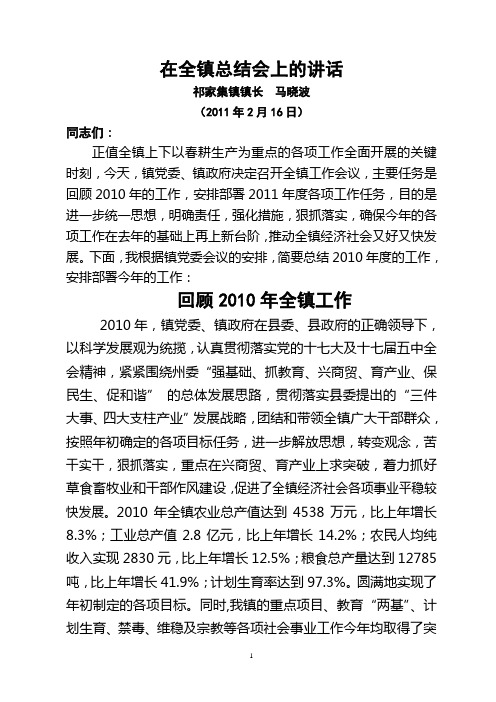 2010年在全镇总结会上的讲话