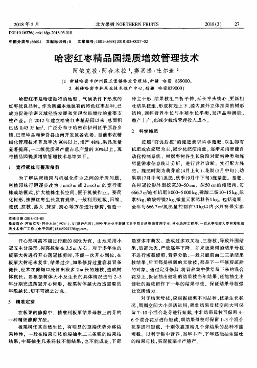 哈密红枣精品园提质增效管理技术