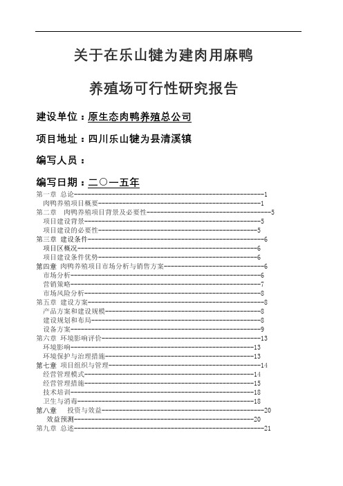 肉鸭养殖项目可行性研究报告精修订