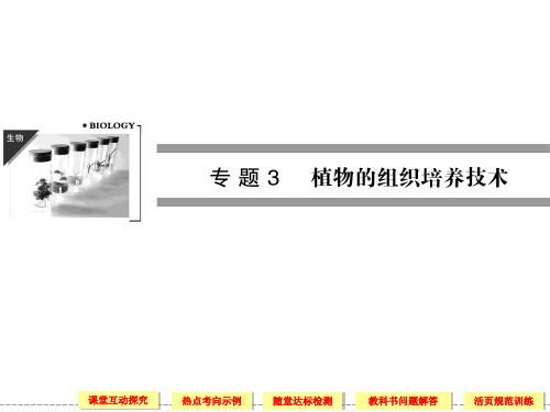 人教版高中生物选修一3-1《菊花的组织培养》ppt同步课件