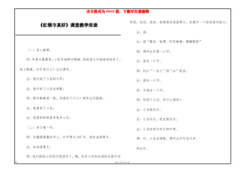 《红领巾真好》课堂教学实录