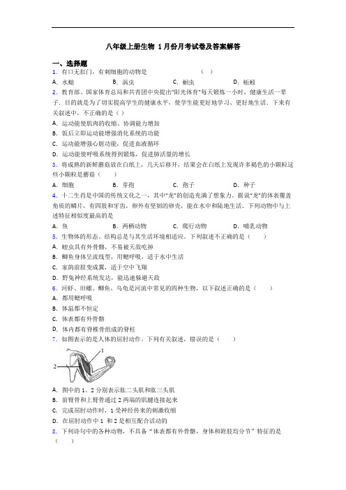 八年级上册生物 1月份月考试卷及答案解答