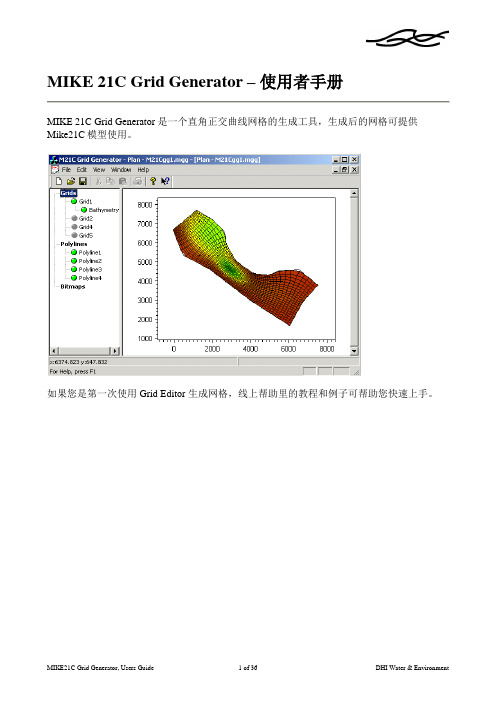 MIKE 21C Grid Generator_Chinese