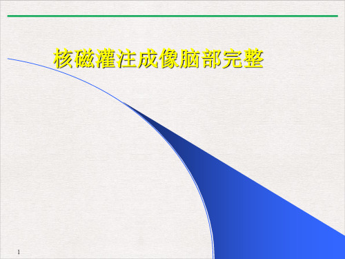 核磁灌注成像脑部完整PPT课件