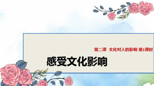 高中政治必修3精品课件11：2.1感受文化影响