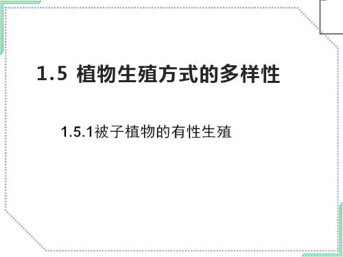 浙教版初中科学七年级下册1.5.1植物生殖方式的多样性