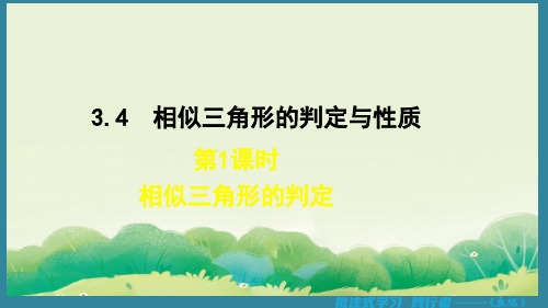 3.4.1相似三角形的判定课件九年级数学上册