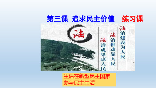 人教版道德与法治九年级上册 追求民主的价值 练习课件(共17张PPT)