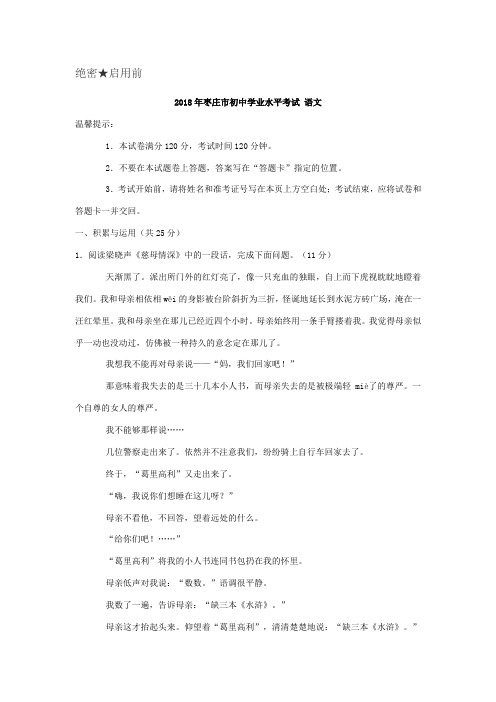 2019年中考最全复习资料山东省枣庄市中考语文试卷(word版)