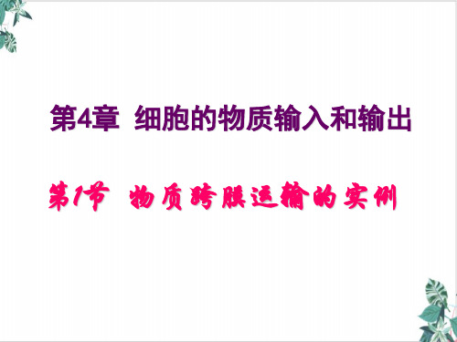 物质跨膜运输的实例课件高三高考生物一轮复习