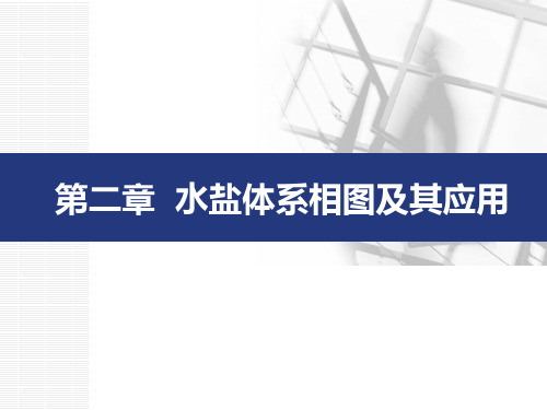 2-1水盐体系相图及其应用