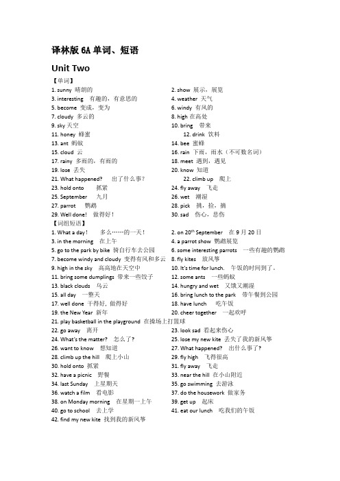 译林版6A单词、短语(unit 2)