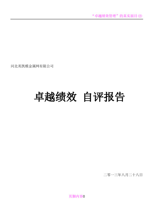 卓越绩效自评报告(完整版)