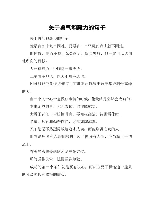 关于勇气和毅力的句子