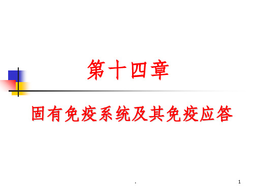 医学免疫学第十四章：固有免疫系统及其免疫应答(新)ppt课件