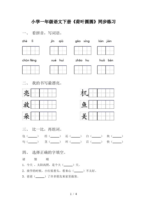 小学一年级语文下册《荷叶圆圆》同步练习