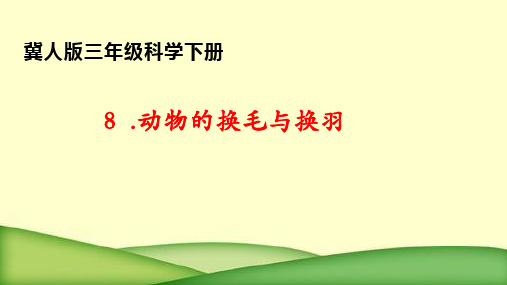 冀人版三年级科学下册动物的换毛与换羽(课件15张)