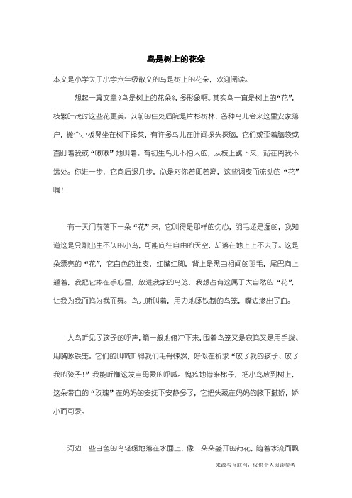 小学六年级散文:鸟是树上的花朵