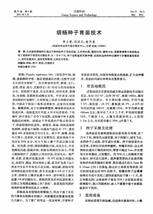 胡杨种子育苗技术