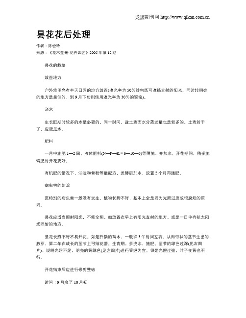 昙花花后处理