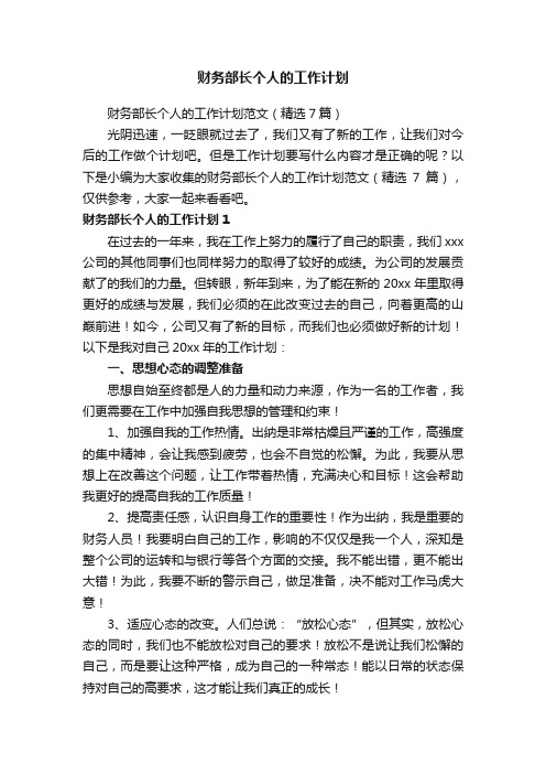 财务部长个人的工作计划