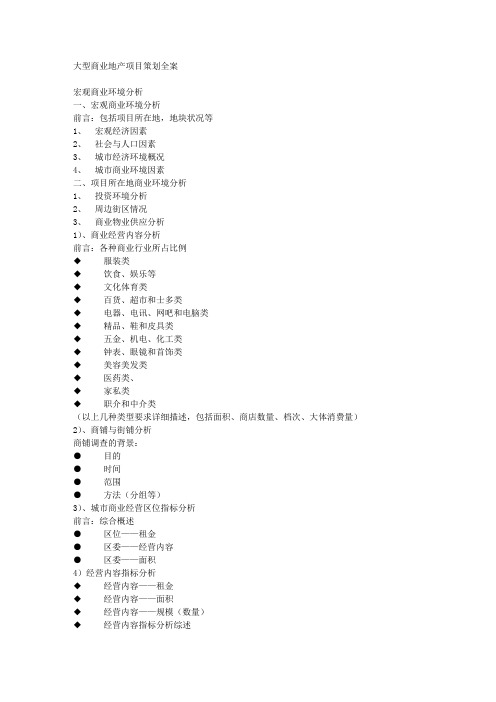 大型商业地产项目策划全案