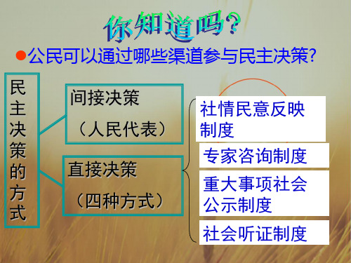 政治必修二2-3 民主管理-共创幸福生活 课件 共29张 精品