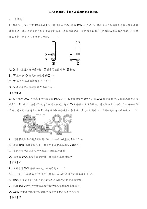 2018年高考生物DNA的结构、复制及与基因的关系复习卷有答案
