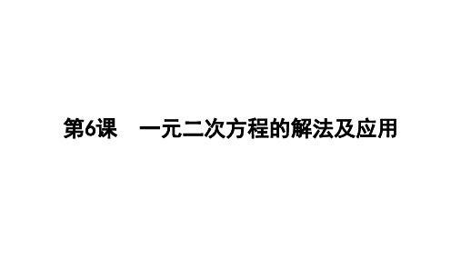 2024年中考广东省数学专用梳理一轮复习第6课 一元二次方程的解法及应用课件