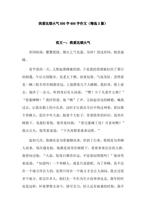 我爱这烟火气500字作文