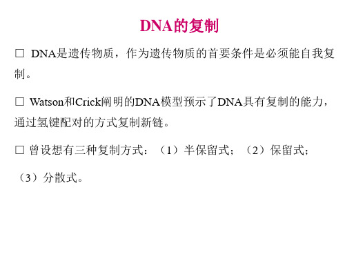 2-3-3DNA的复制 (2)