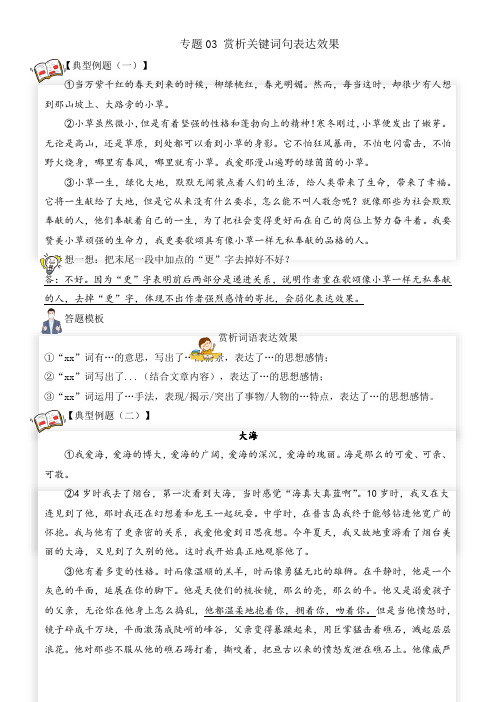 【阅读专项】专题03赏析关键词句表达效果(试题)六年级语文部编版_教师版