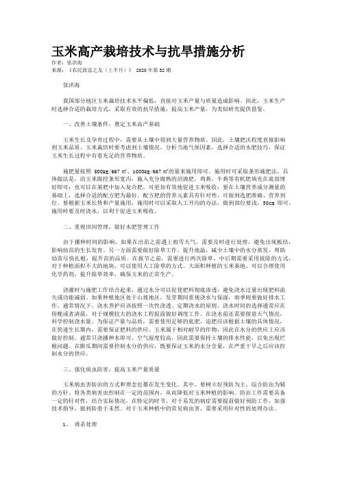 玉米高产栽培技术与抗旱措施分析