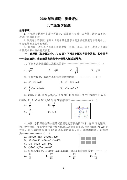 2020年秋期期中质量评估九年级数学试题(1)