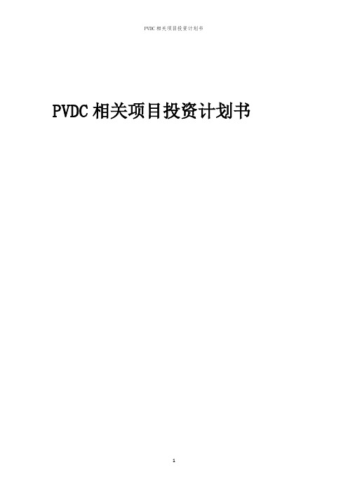 PVDC相关项目投资计划书范本