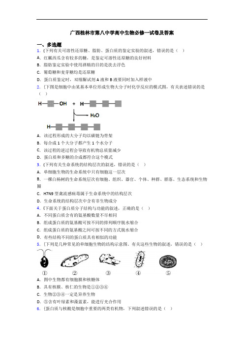 广西桂林市第八中学高中生物必修一试卷及答案
