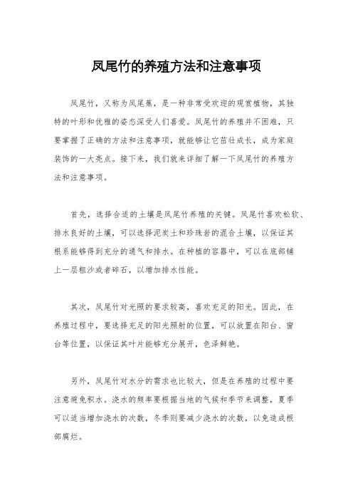 凤尾竹的养殖方法和注意事项