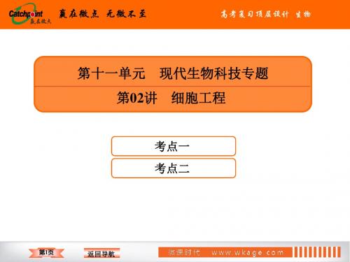 高中生物高2020届高2017级一轮复习赢在微点高考复习顶层设计生物11-2