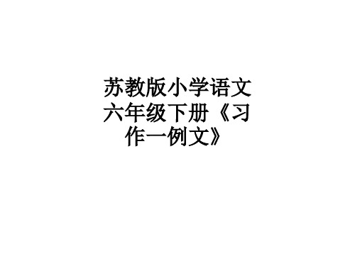 苏教版小学语文六年级下册《习作一例文》ppt课件