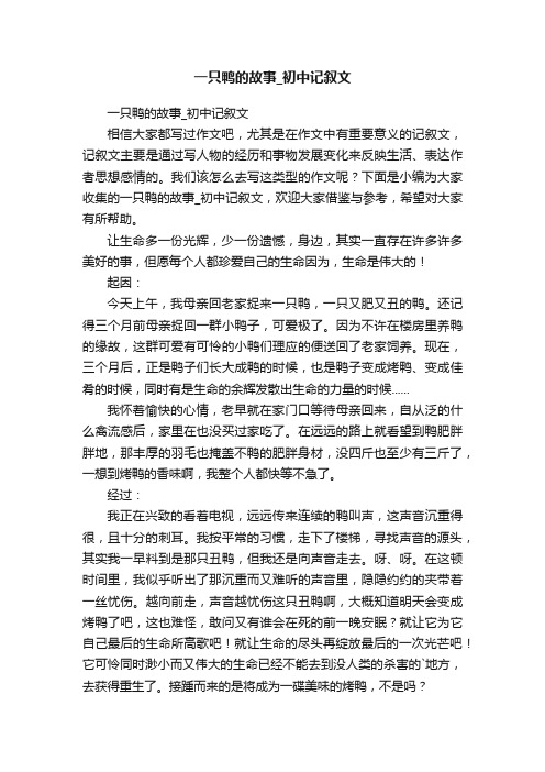 一只鸭的故事_初中记叙文