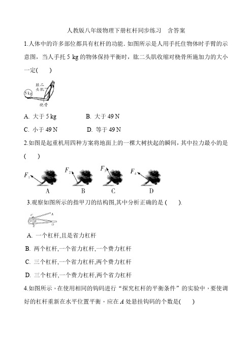 人教版八年级物理下册杠杆同步练习  含答案