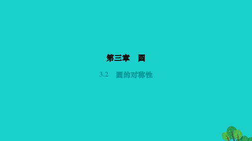 数学下册第三章圆3.2圆的对称性作业课件(新版)北师大版