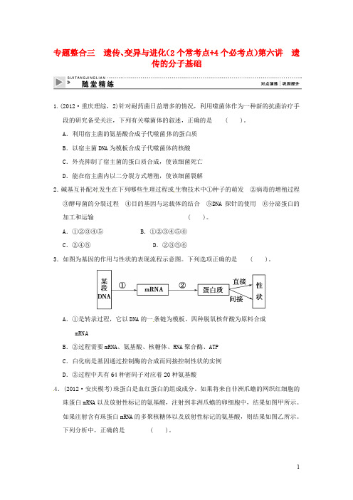 高考生物二轮复习全攻略 136《遗传的分子基础》随堂精练 新人教版