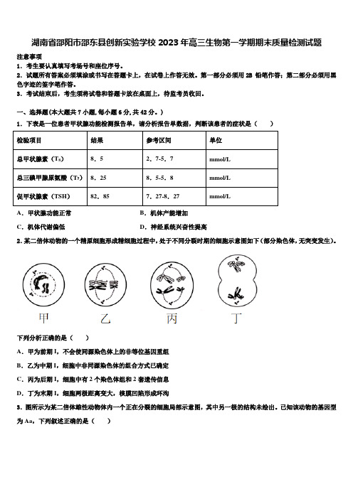 湖南省邵阳市邵东县创新实验学校2023年高三生物第一学期期末质量检测试题含解析